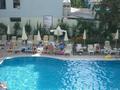 der Pool