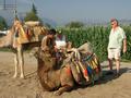 bis der Typ mit dem Camel auftaucht